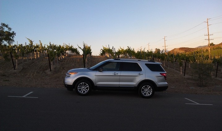explorer at vineyard.jpg